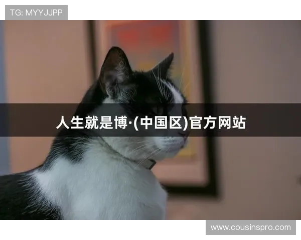 尊龙时凯人生就是博官网：尊龙时凯的成功经验与年轻人创业启示分享