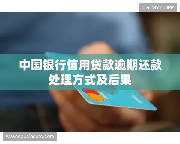 尊龙会官网会员登录入口查询官方客服联系方式，遇到问题及时咨询